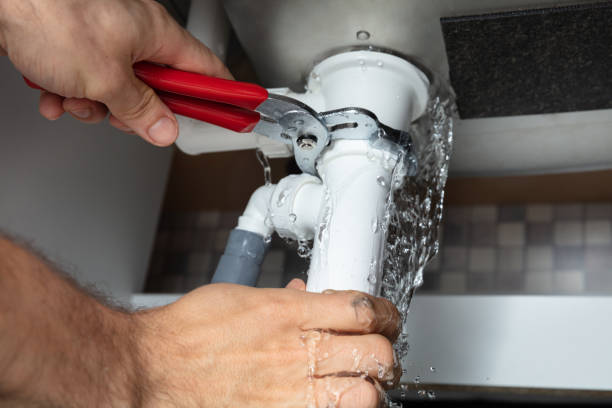 Best Water damage restoration experts  in Carbondale, PA