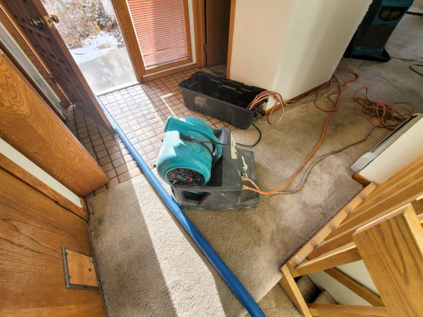 Best Water damage restoration near me  in Carbondale, PA