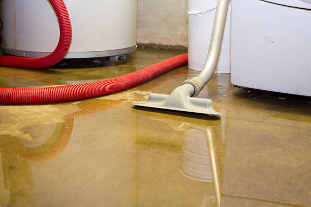 Best Flood restoration services  in Carbondale, PA