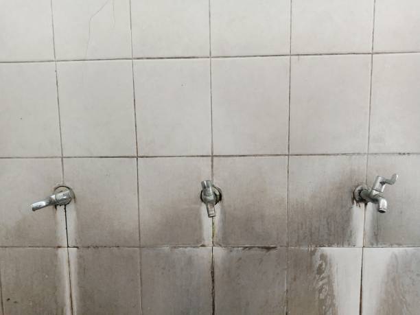 Best 24-hour water damage restoration  in Carbondale, PA